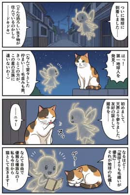 仙女误入猫咪星球：四格漫画奇遇记