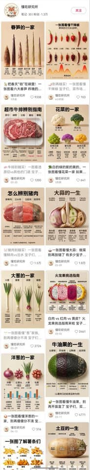 نمونهٔ 食物生命周期·时间切片信息图生成器