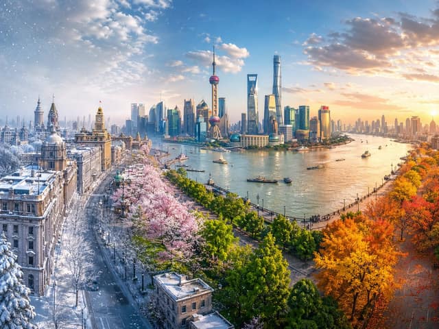 四季更迭全景图｜黄浦江畔时光轮回