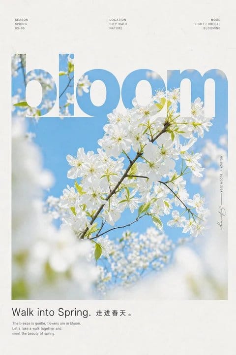 清透自然·春日白花海报