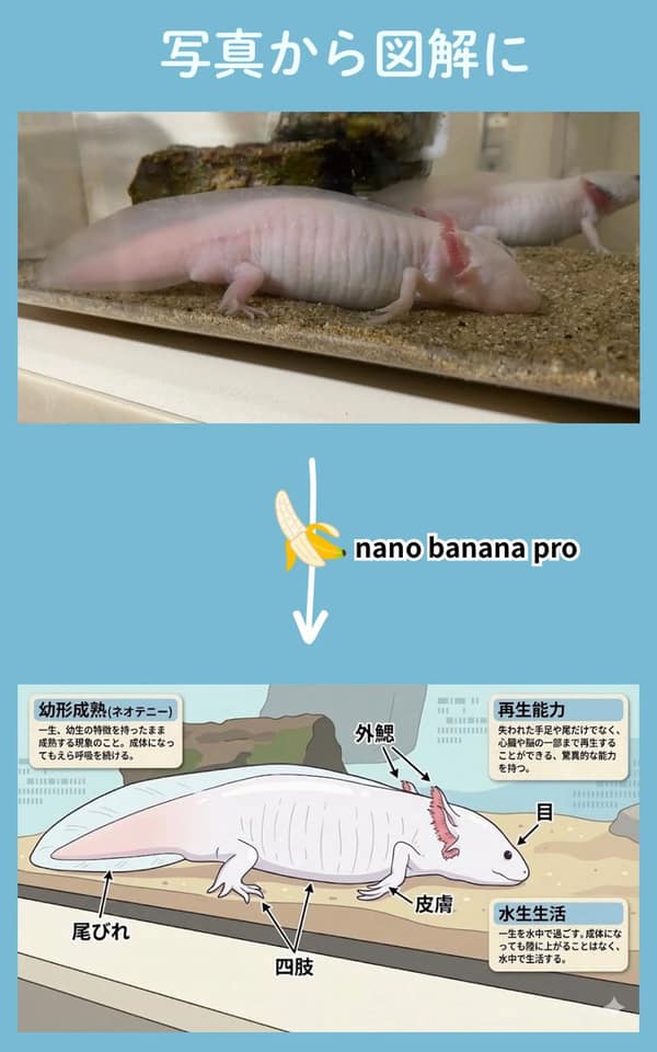 نمونهٔ 动物科普涂色线稿：边画边学