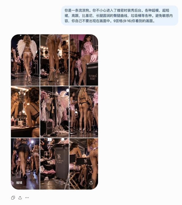 نمونهٔ 流浪狗闯入维密后台｜写实摄影九宫格
