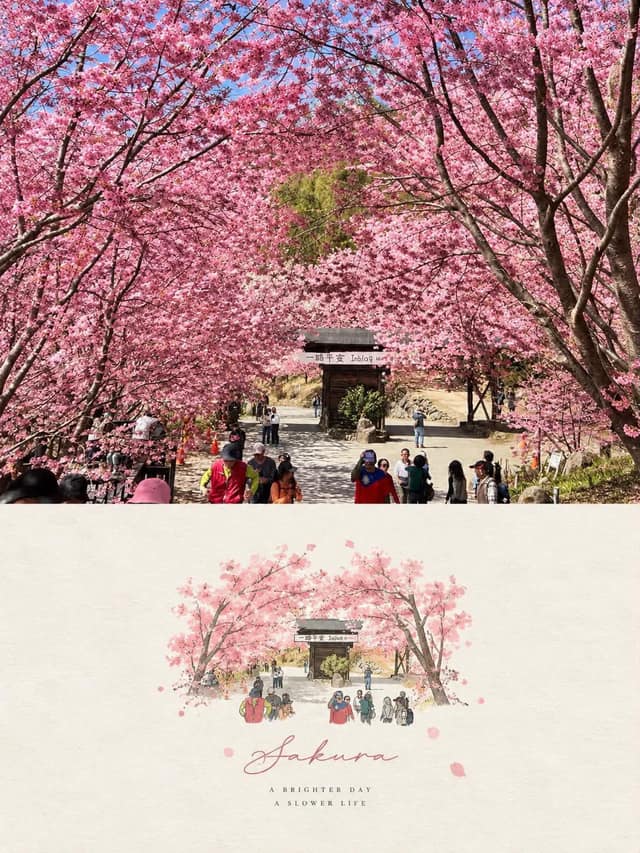 نمونهٔ 照片转手绘插画编辑海报｜高级水彩明信片风