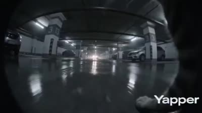 نمونهٔ 超广角微距FPV：追踪猫咪的紧张逃亡序列