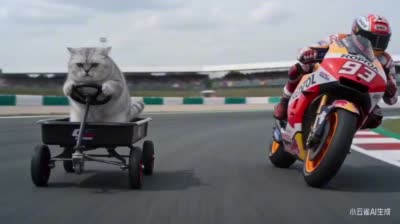 نمونهٔ 萌猫车手MotoGP赛道超车本田93号赛车